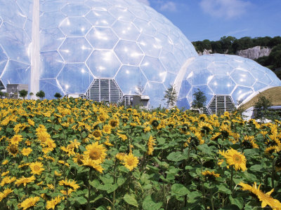 eden project biome				